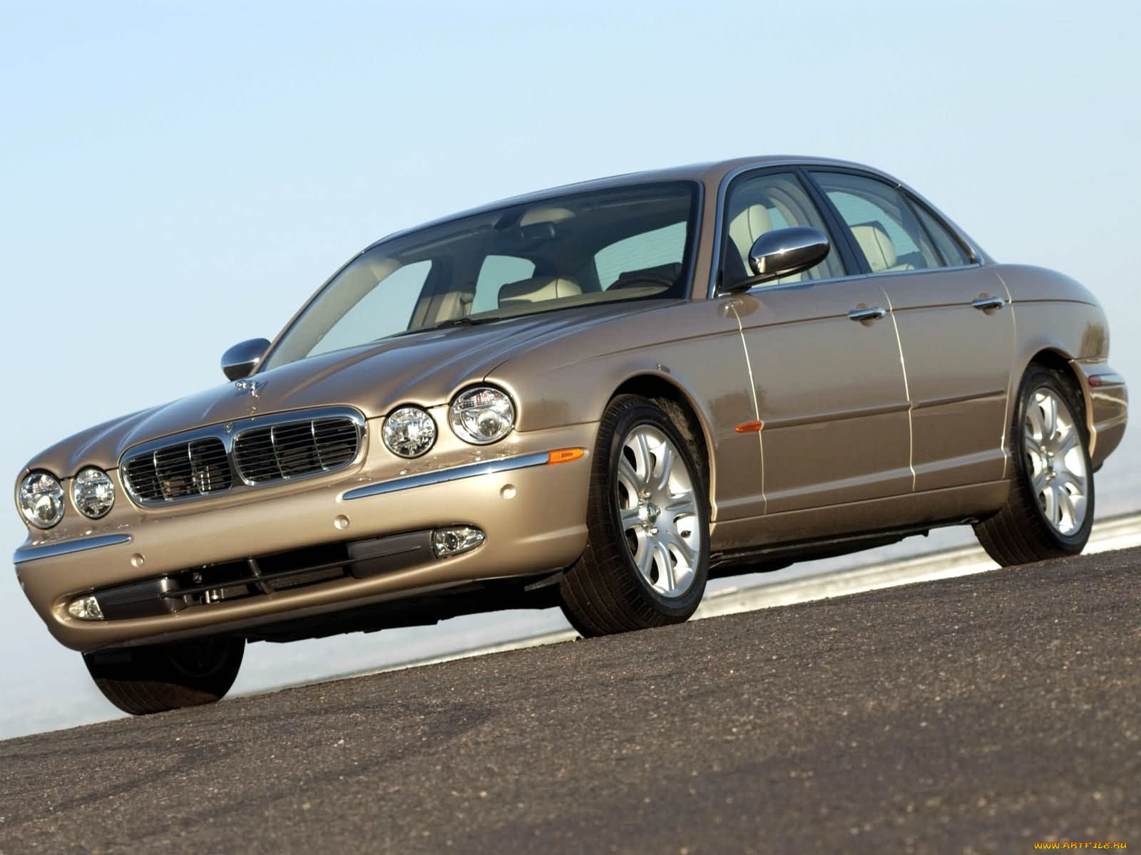 , jaguar